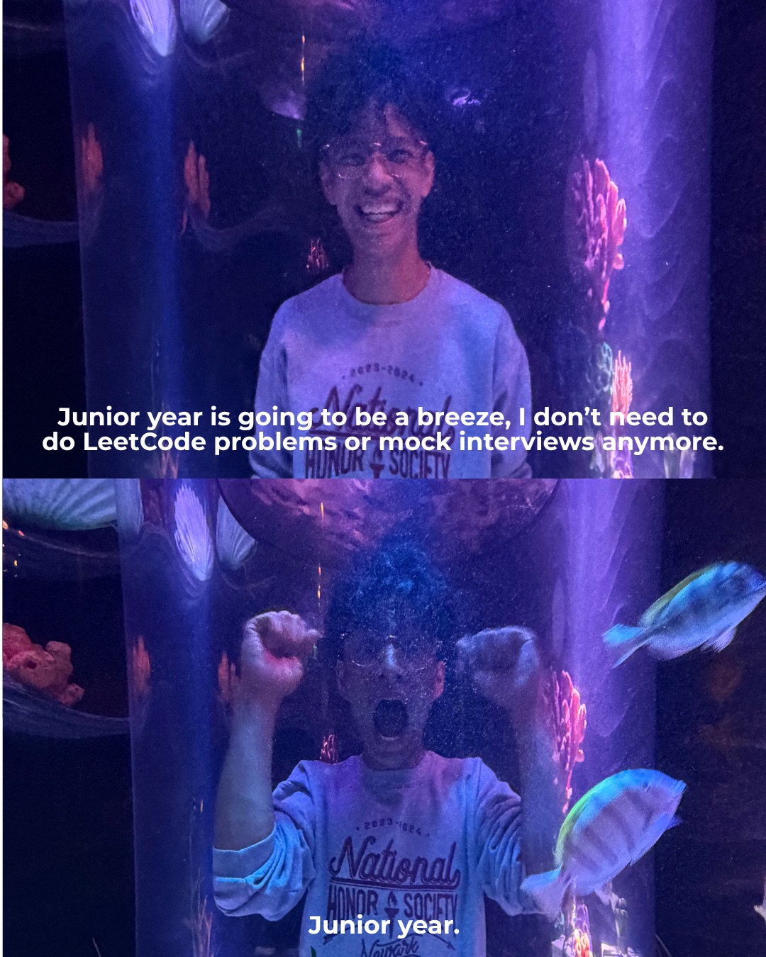 Aidan thinks junior year will be a breeze without LeetCode or mock interviews. In the next panel, junior year has him screaming in an aquarium.